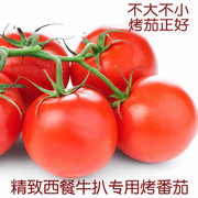 串红番茄1斤牛排专用番茄新鲜蔬菜深圳西餐香料花草配送同城跑腿
