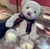 泰迪熊公仔抱抱熊女生床上睡觉抱毛绒玩具小熊玩偶布娃娃生日礼物