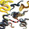 仿真动物模型儿童玩具蟒蛇眼镜蛇银环蛇静态蛇金钱蟒爬行动物假蛇