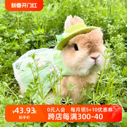 宠物兔 垂耳兔侏儒兔春天出游绿色复古公主裙子 牵引绳猫猫兔衣服