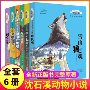 全套6本完整版雪山狼魂野马奔腾金蟒狂舞猴王荣耀雄鹰绝唱沈石溪的书籍野生动物小说救助站大王系列四五六年级狼王梦正版大全全集