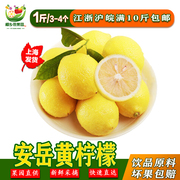 大果3-4个四川安岳黄柠檬新鲜优力克一级果满件奶茶原料