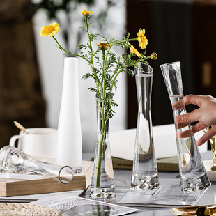 北欧风格ins风小花瓶，客厅插花摆件玻璃透明水养鲜花迷你简约花器