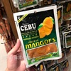 酸酸甜甜~菲律宾进口cebu宿务芒果干休闲果干，零食休闲伴手礼100g