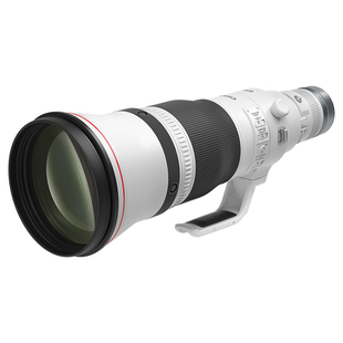 Canon/佳能RF600mm F4 LISUSM超远摄定焦镜头EOS R5 R6全画幅打鸟