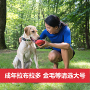 大狗狗玩具大型犬，发声球耐咬磨牙宠物狗骨头，解闷神v器金毛拉布拉