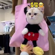 猫头手提购物袋猫包猫咪包包网红露头单肩包伸头外出狗包可爱帆布