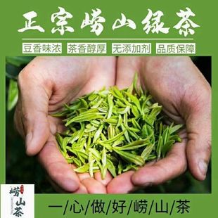 2024正宗青岛崂山绿茶明前头采春茶芽手工扁茶卷曲豆香浓500g礼盒