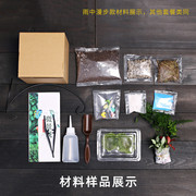 大蛋型玻璃瓶苔藓微景观绿植物创意盆栽 办公室内桌面diy材料套装