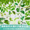 清新绿叶露珠绿色树叶子水滴嫩芽，护肤芦荟春夏季ps免抠png素材