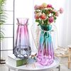 玻璃花瓶透明水养富贵竹百合花瓶摆件客厅插花干花北欧家用