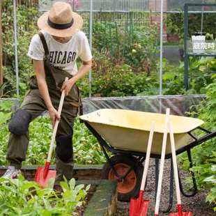 庭院时光儿童园艺铁制锹铲耙子实木长柄红绿彩色工具四件套装