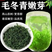 新货毛冬青茶250g青山绿水茶叶，毛冬青(毛，冬青)嫩芽茶250克