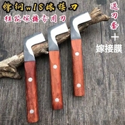 嫁接锋钢芽接嫁接工具 桂花树专用嫁接 苗木果树嫁接超