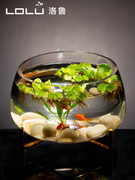 透明玻璃花瓶铜钱草水培植物，花盆大码绿萝玻璃器皿，客厅圆形鱼缸