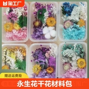 混合永生花干花diy材料包真花自然风干蜡烛团扇相框装饰干花材盒