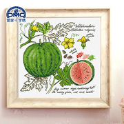 法国DMC十字绣套件 客厅卧室 花卉 精准印花 阴影水果系列-西瓜