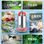 直流潜水泵12V24V抽水泵48V60V家用电瓶电动车小型农用灌溉抽水机