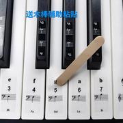 儿童成人电子琴自学五线谱简谱音阶音符贴88/61/54键钢琴键盘贴纸