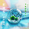 球藻君MARIMO海藻球生态瓶「可爱元气球」日本创意水藻真植物