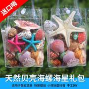天然贝壳海螺壳台摆件海星物贝壳鱼缸水族箱地造景儿童玩具礼