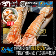泰国活冻濑尿虾超特大虾姑，皮皮虾巨型富贵虾海鲜水产