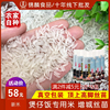 增城丝苗米象牙米油粘米香米煮粥新米大米，真空包装10斤农家自种