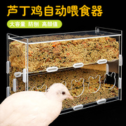 芦丁鸡食盒亚克力喂食器食盒，芦丁鸡鹌鹑，饮水器透明大容量育雏用品