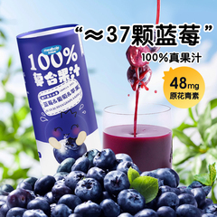 妙伯乐复合果汁儿童果汁饮料蓝莓