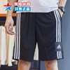 阿迪达斯短裤男2024夏季款宽松篮球运动休闲速干透气五分裤FT5879