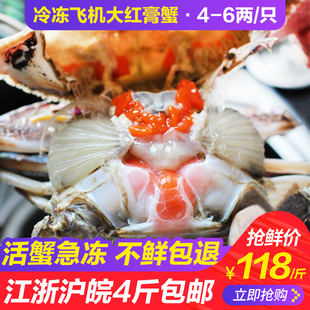 舟山野生大红膏蟹，冷冻梭子蟹海鲜水产，特大海蟹海螃蟹全母