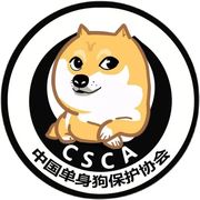 2022网红搞笑csca中国单身狗，个性加油油箱盖，汽车车贴划痕疤痕遮挡