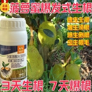 猛生根菠萝蜜爆发生根猛生根壮苗剂果树根多粗根生根粉液农药