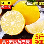四川安岳黄柠檬(黄柠檬)5斤新鲜水果，奶茶店专用皮薄，一级香水甜柠檬无籽青6