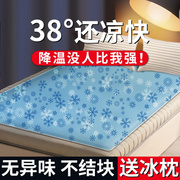 水床垫成人冰袋垫水袋凉席水冷夏季床上凉垫冰凉沙发垫夏凉垫(夏凉垫)宿舍