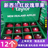 新西兰进口红玫瑰苹果12个礼盒装taylor大果新鲜多汁当季水果