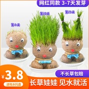草头娃娃小盆栽浇水头上长，头发儿童种植可爱植物种草娃娃长草娃娃