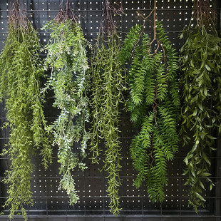 仿真植物塑料挂藤菠草南洋杉壁挂绿植藤蔓商场户外餐厅装饰垂挂藤