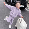 女童套装春秋装2024女宝宝洋气休闲两件套儿童时尚韩版运动装