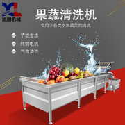 果蔬清洗机大型商用全自动红枣水果蔬菜洗菜机设备工厂