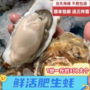 新鲜生蚝带壳牡蛎鲜活生蚝活海蛎海鲜贝类烧烤包活到家拍5斤