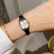 时尚简约气质玫瑰钢带罗马刻度女士个性手表表带石英普通国产腕表