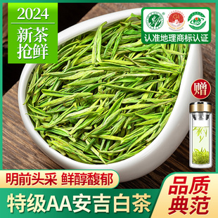 2024年新茶安吉白茶明前特级嫩芽绿茶，正宗白茶散装茶叶礼盒装500g