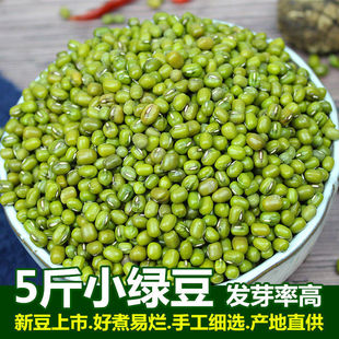 新货绿豆小绿豆5斤 农家自产发新鲜豆芽夏天绿豆汤材料薏仁绿豆粥