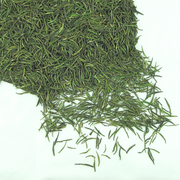 2024日照绿茶新春茶手工茶银针松针特级板栗香型新鲜茶叶自产50g
