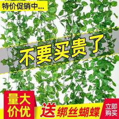 管道缠绕绿植吊顶树叶塑料爬山虎绿叶仿真藤条葡萄叶装饰假花藤蔓