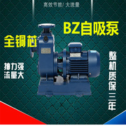 BZ三相工业自吸泵卧式离心泵380v农业农用灌溉大流量高扬程抽水机
