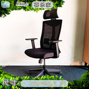百利办公椅人体工学椅电脑椅，升降椅头枕椅会议椅，职员椅网背椅子