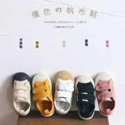 韩版童鞋糖果色低帮儿童帆布鞋魔术贴2019男女宝宝饼干鞋