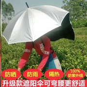 可背式采茶伞遮阳伞户外钓鱼防晒伞头顶伞解放双手，户外工作折叠伞